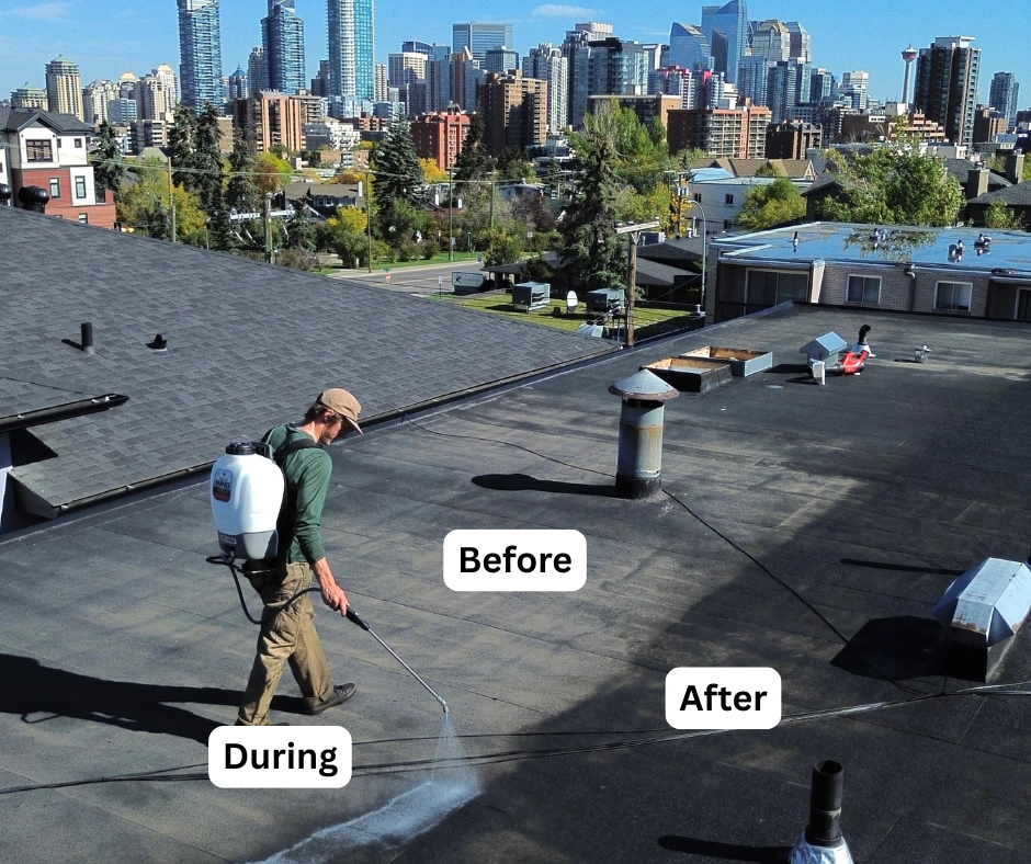 Before / during / after · low-slope section